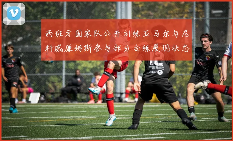 西班牙国家队公开训练亚马尔与尼科威廉姆斯参与部分合练展现状态